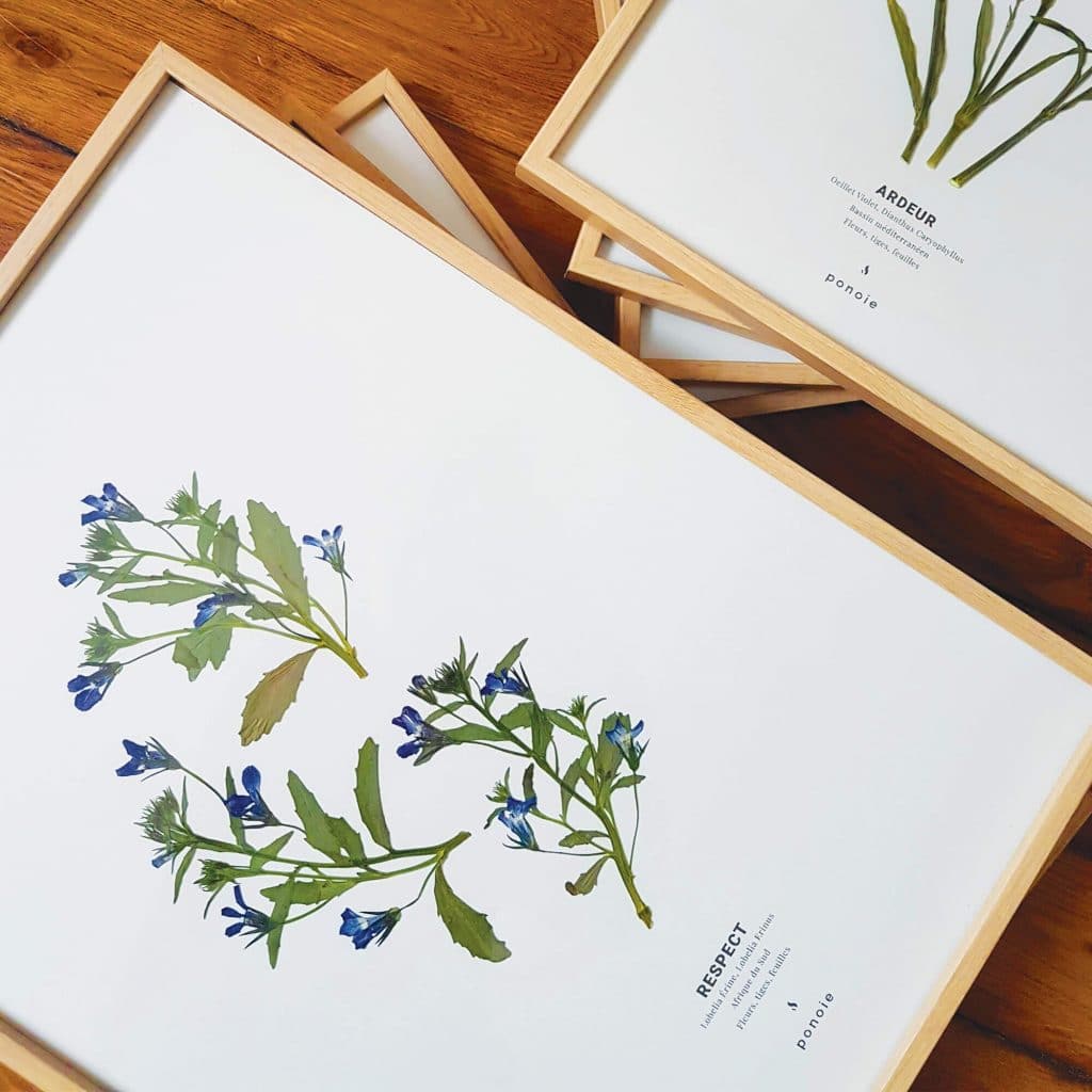 Cadre En Bois Sculpté Pour Miroir Dessin Ou Gravure