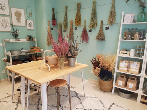 boutique bougie paris - fleurs sechees paris - boutique ponoie paris boutique bougie paris - fleurs sechees paris - boutique ponoie paris