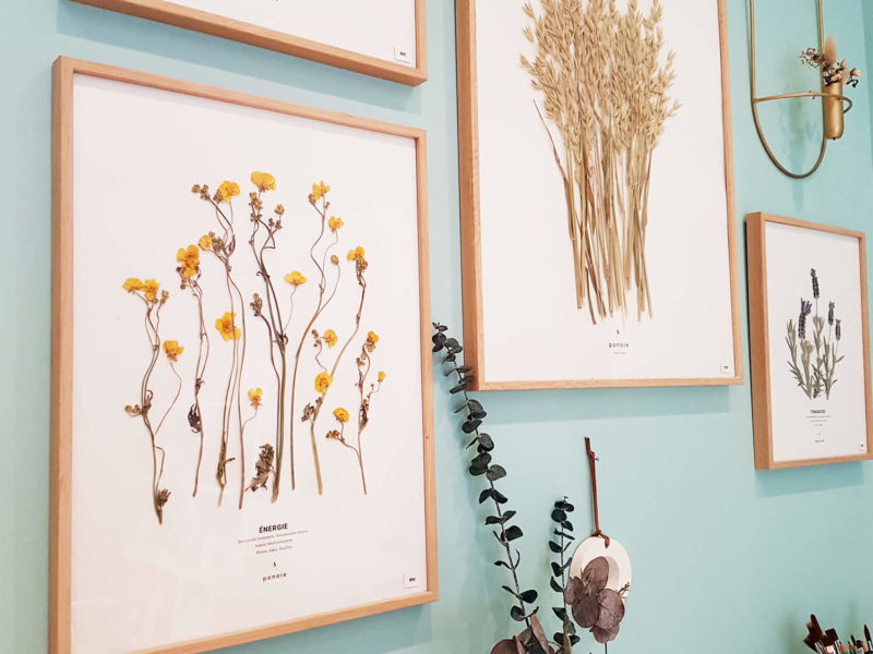 boutique bougie paris - fleurs sechees paris - boutique ponoie paris boutique bougie paris - fleurs sechees paris - boutique ponoie paris