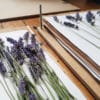 Atelier Presse à fleurs Ponoie - Atelier DIY Paris - Atelier Fleurs séchées