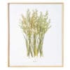 Herbier Avoine Byzantine #MUSIQUE 40 x 50 cm - Herbier encadré PARIS