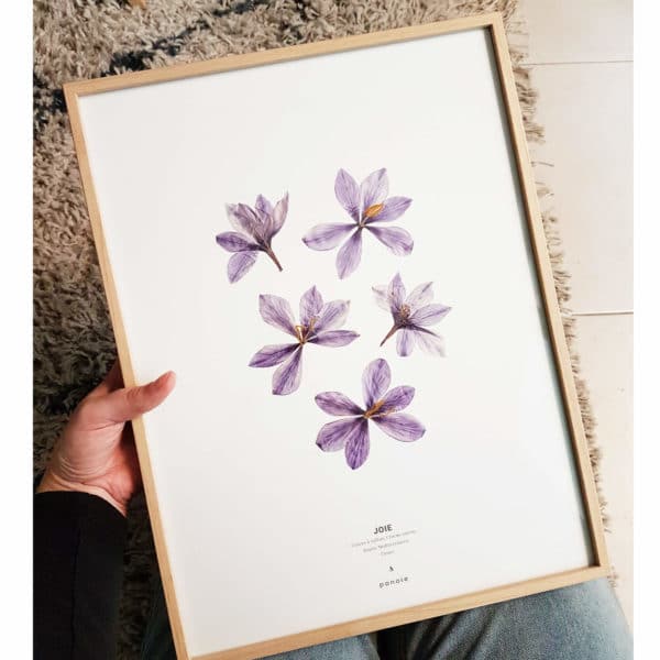 Herbier Crocus #JOIE 30 x 40 cm - Herbier botanique fleurs séchées