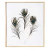 Plumier Grandes plumes de Paon #RENOUVEAU - Plumes éthiques