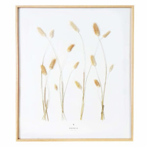 Herbier Lagure Ovale #LIBERTÉ 40 x 50 cm - Herbier fleurs séchées