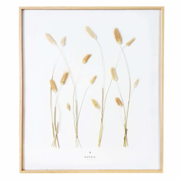 Herbier Lagure Ovale #LIBERTÉ 40 x 50 cm - Herbier fleurs séchées