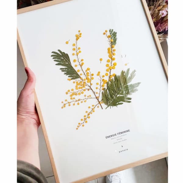 Herbier Mimosa #ÉNERGIE FÉMININE 30 x 40 cm - Herbier fleuri symbole