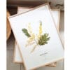 Herbier Mimosa #ÉNERGIE FÉMININE 30 x 40 cm - Herbier fleuri symbole