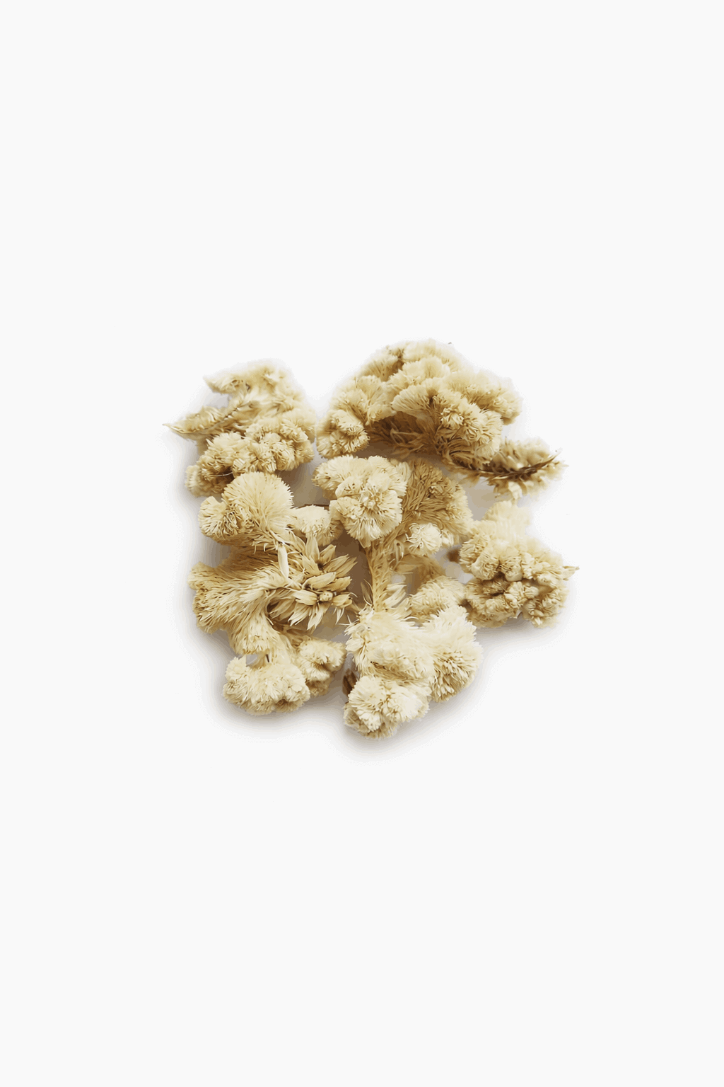 vrac-celosie-crete-verte