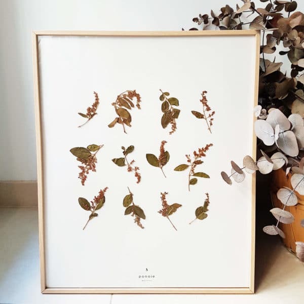 Herbier Lilas #BEAUTÉ 40 x 50 cm - Herbier fleurs séchées PARIS