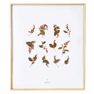 Herbier Lilas #BEAUTÉ 40 x 50 cm - Herbier fleurs séchées PARIS