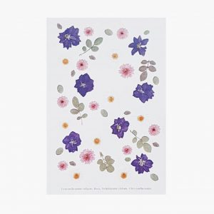 Carte postale Delphinium, marguerite, rose - 10 X 15 cm