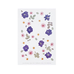 Carte postale Delphinium, marguerite, rose - Carte fleurs séchées PARIS