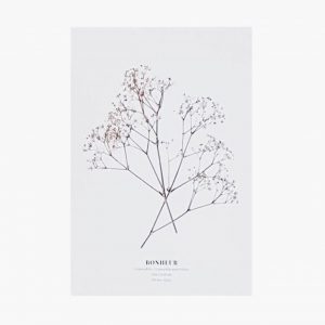 Carte postale Gypsophile #Bonheur - 10 X 15 cm