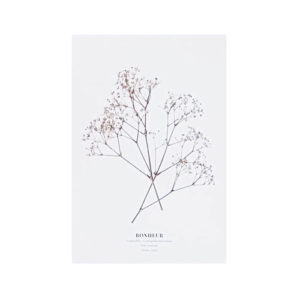 Carte postale Gypsophile Bonheur - Carte postale avec enveloppe kraft
