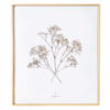 Herbier Gypsophile #BONHEUR 40 x 50 cm - Herbier botanique PARIS