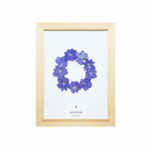 Herbier Delphinium bleu #PROTECTION 18 x 28 cm - Herbier fleuri PARIS