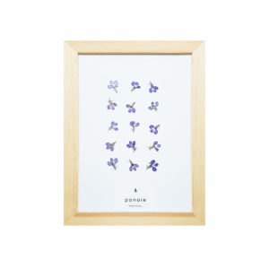 Herbier Lobélie #RESPECT 18 x 28 cm - Herbier fleuri PARIS