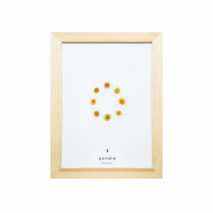 Herbier Marguerite #PURETÉ 18 x 28 cm - Herbier fleuri PARIS