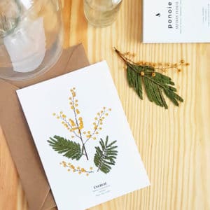 Carte postale Mimosa Énergie - Carte postale fleurie PARIS