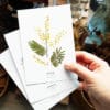 Carte postale Mimosa Énergie - Carte postale fleurie PARIS