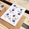 Carte postale Delphinium, marguerite, rose - Carte fleurs séchées PARIS
