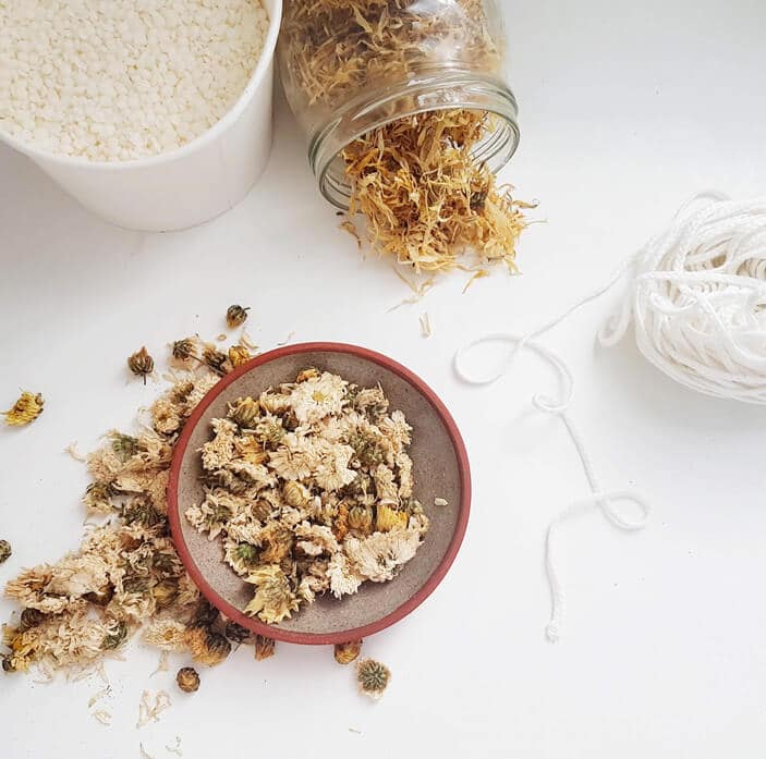 Fleurs de Chrysanthème - Réalisez vos bougie DIY - Fleurs bougie fleurie