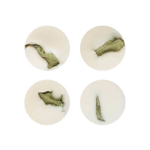 Pastilles parfumées Ylang - Patchouli - Bougie Paris Ponoie