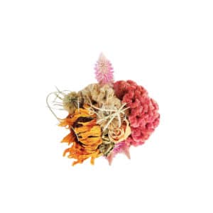 Petit pot fleuri de Fleurs séchées Célosie - Couronne fleurs séchées