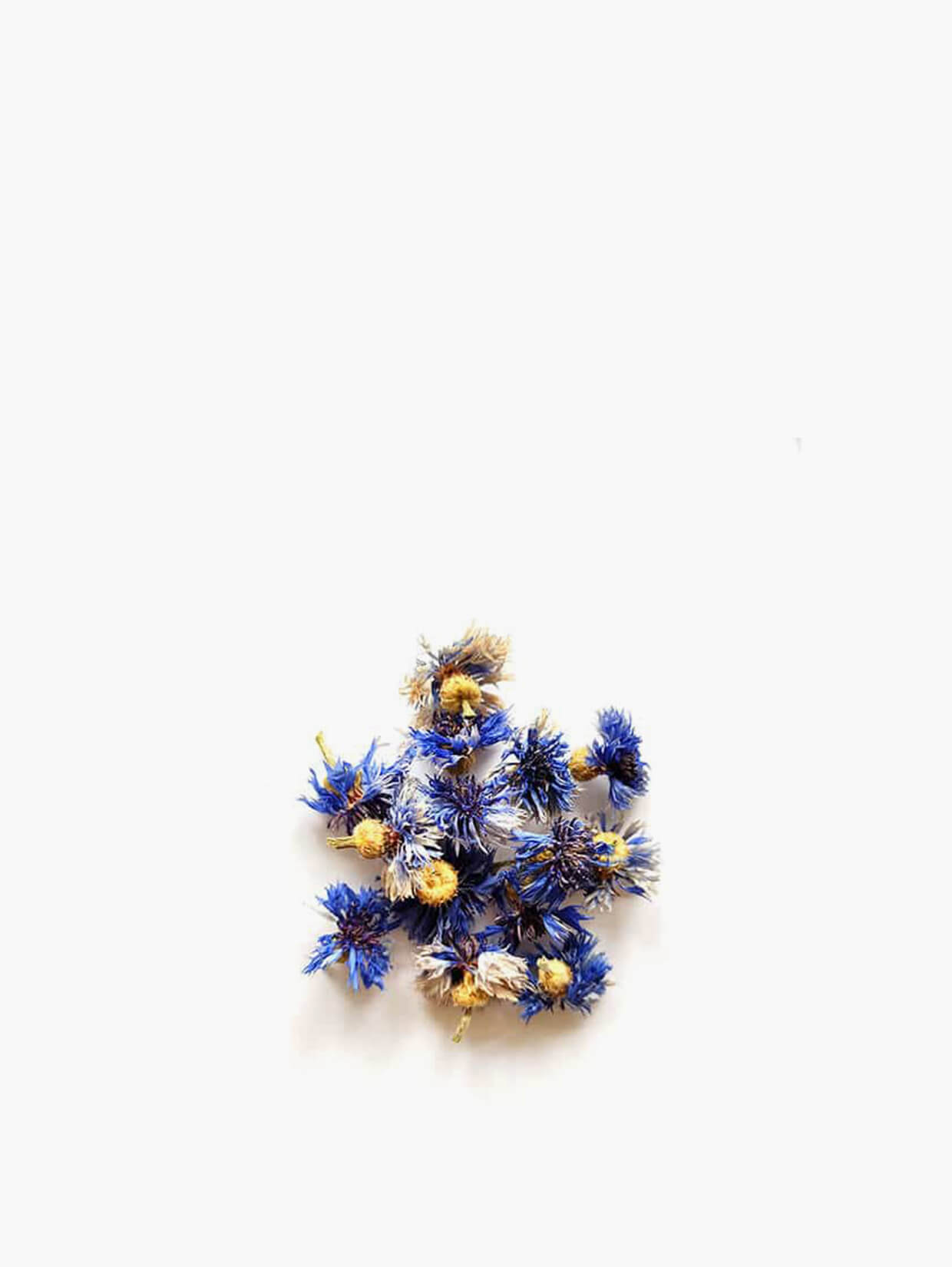 fleurs-sechees-bleuet