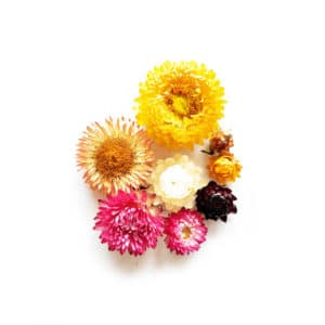 Fleurs séchées d'Immortelles - Réalisez vos bougie DIY - KIT BOUGIE DIY