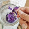 Fleurs séchées de Mauve - Ingrédient pour bougies DIY - KIT BOUGIE DIY
