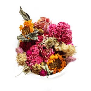 Pot fleuri XXL Fleurs séchées Célosie - Couronne fleurs séchées PONOIE