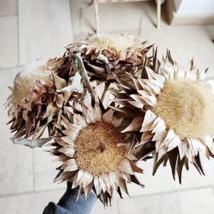 Fleurs d'artichaut séchées - Vente fleurs séchées Françaises BERRY