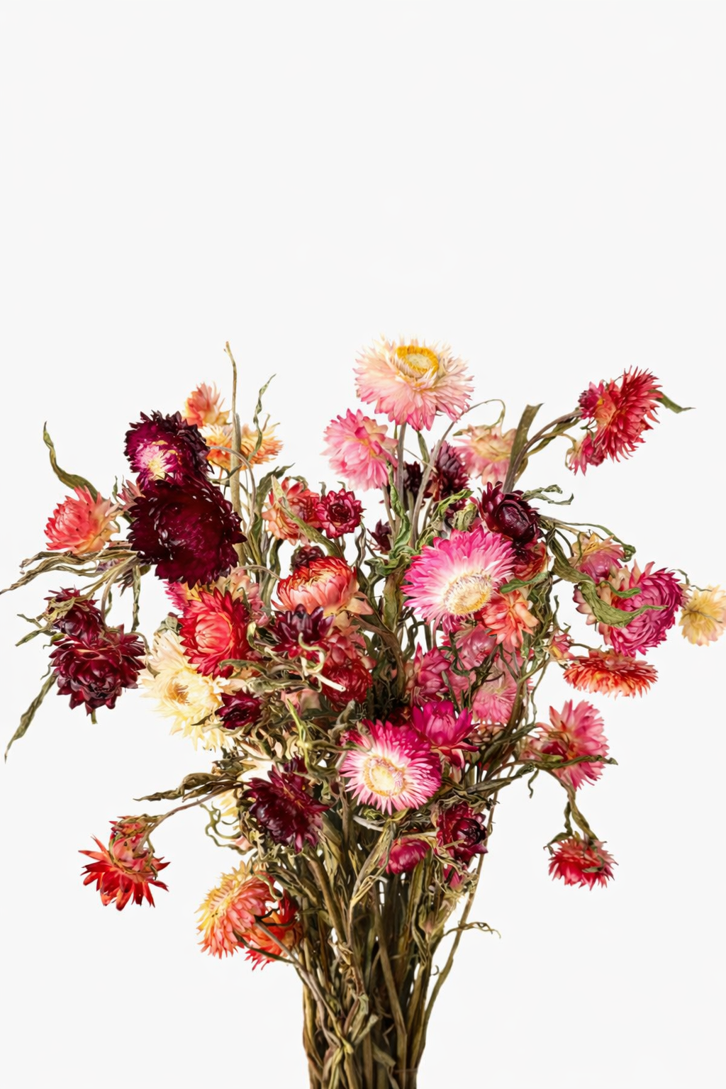 botte-immortelle-rose