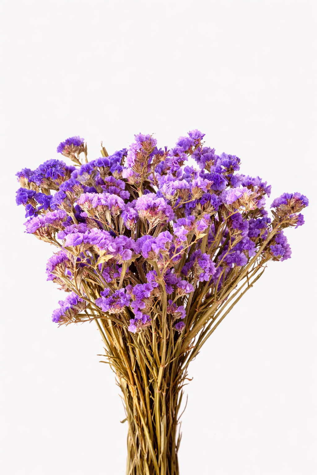 botte-statice-violet