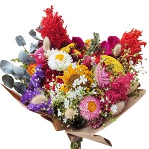 Bouquet de fleurs séchées XXL - Dinah - BOUQUET FLEURS SÉCHÉES