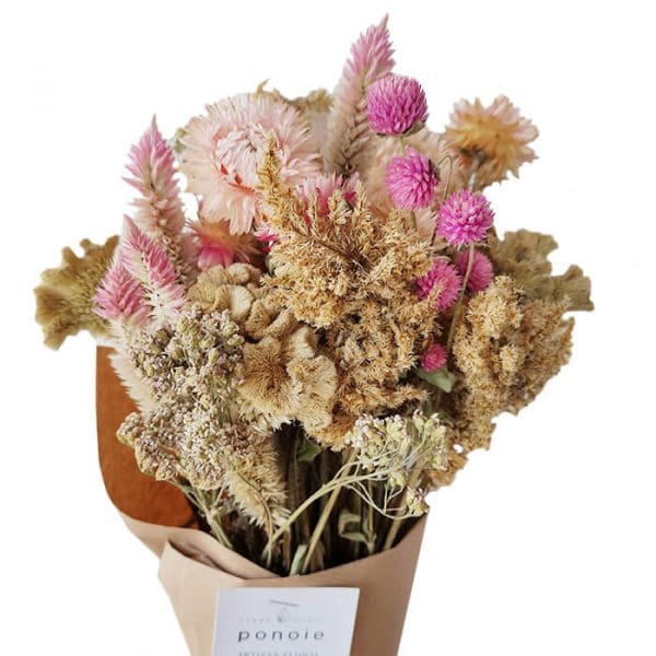 Bouquet de fleurs séchées - Célosie & Gomphrena- FLEURS SÉCHÉES