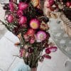 Immortelles à Bractées Mélange Rose - Fleurs séchées en ligne