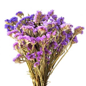 Statice Sinuata Violet - Ferme Florale de fleurs séchées FRANCE