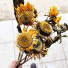 Fleurs de tournesol séchées - Vente fleurs séchées Françaises BERRY