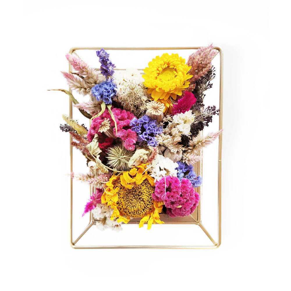 Cadre fleuri en fleurs séchées - Célosie, Immortelles, Ammi, Achillée, Pavot