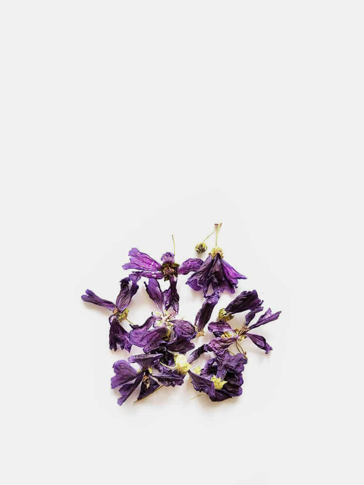 fleurs-sechees-mauve
