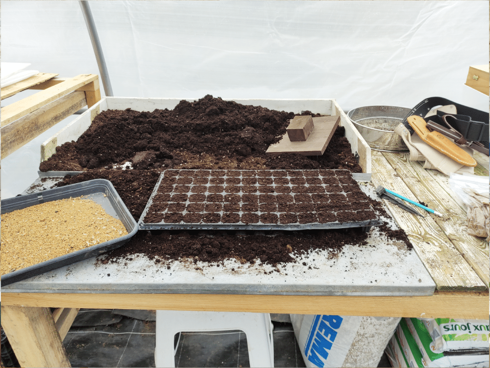 IMG_20210604_152910 (2)