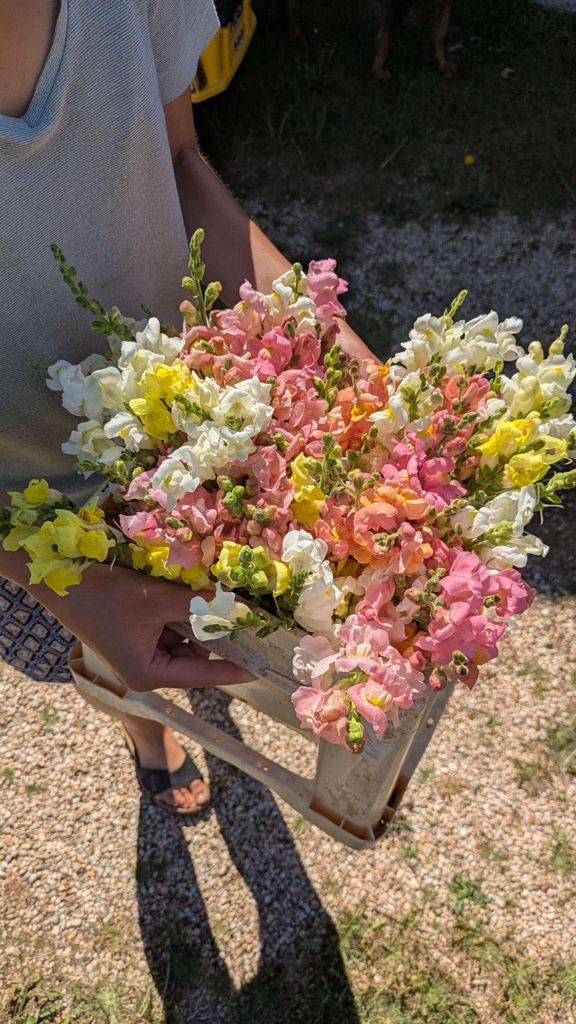 PXL_20250823_100112204 (1)