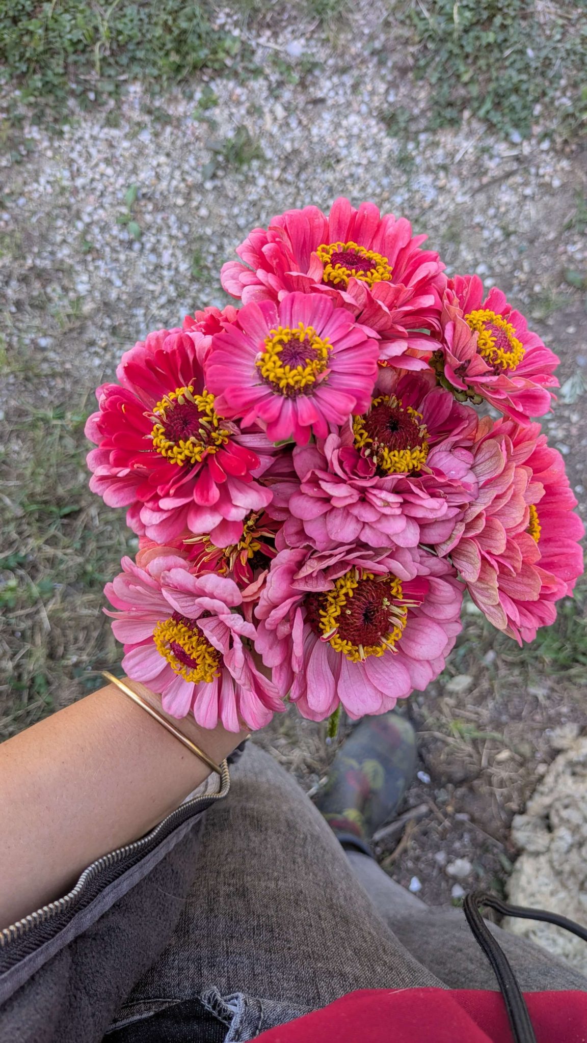 PXL_20250824_140643488 (1)