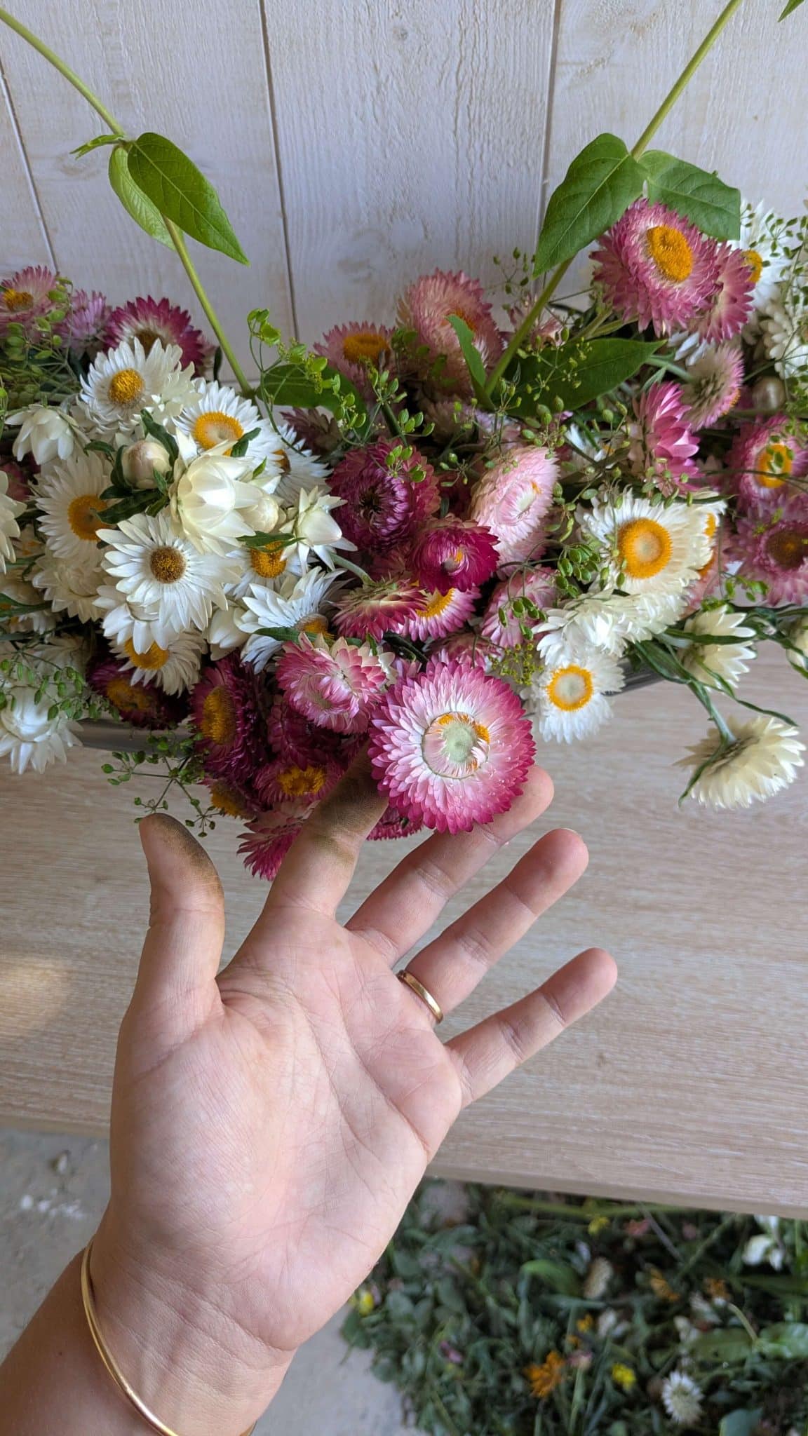 PXL_20250824_131353026 (1) (1)