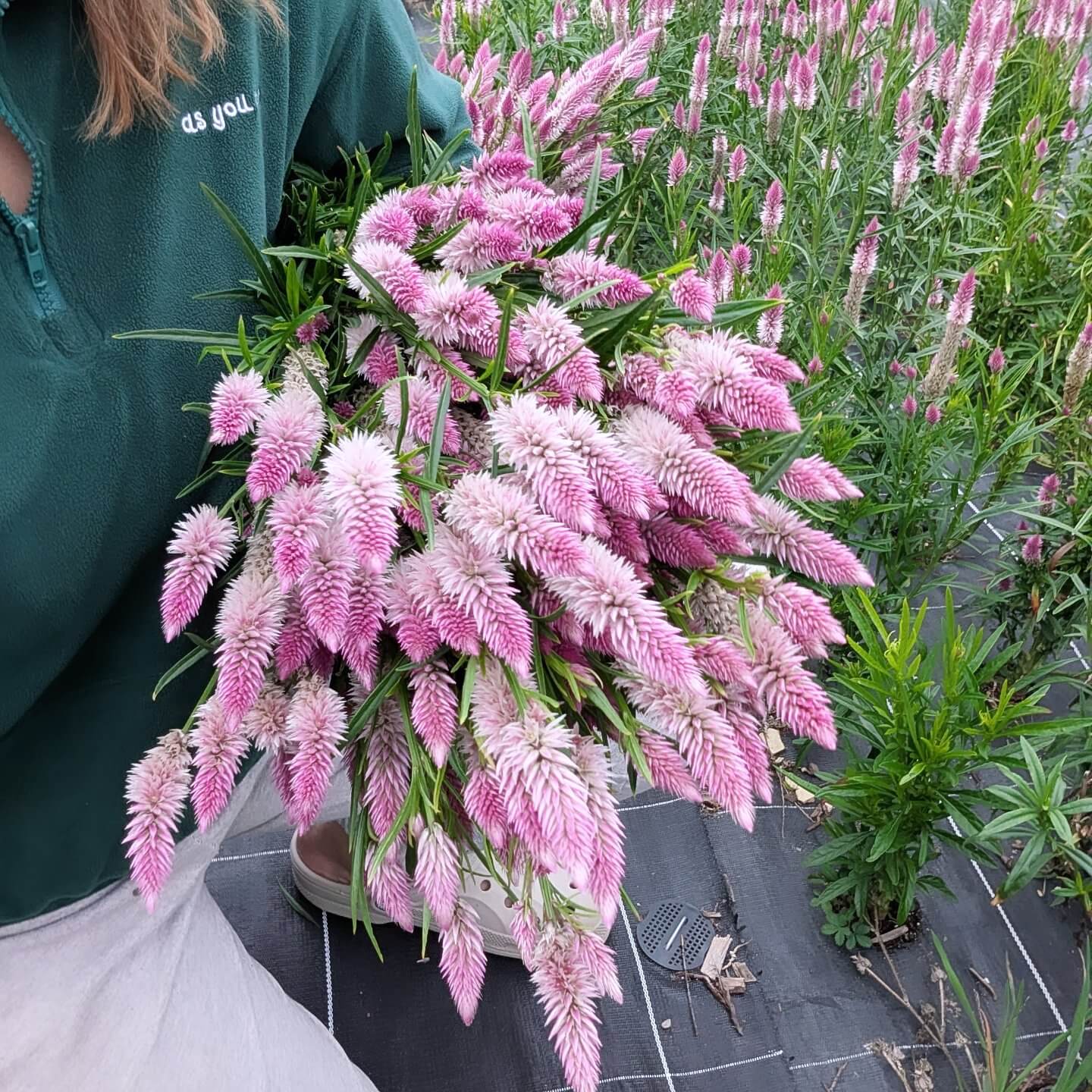 IMG_20250921_165707_683 (1)