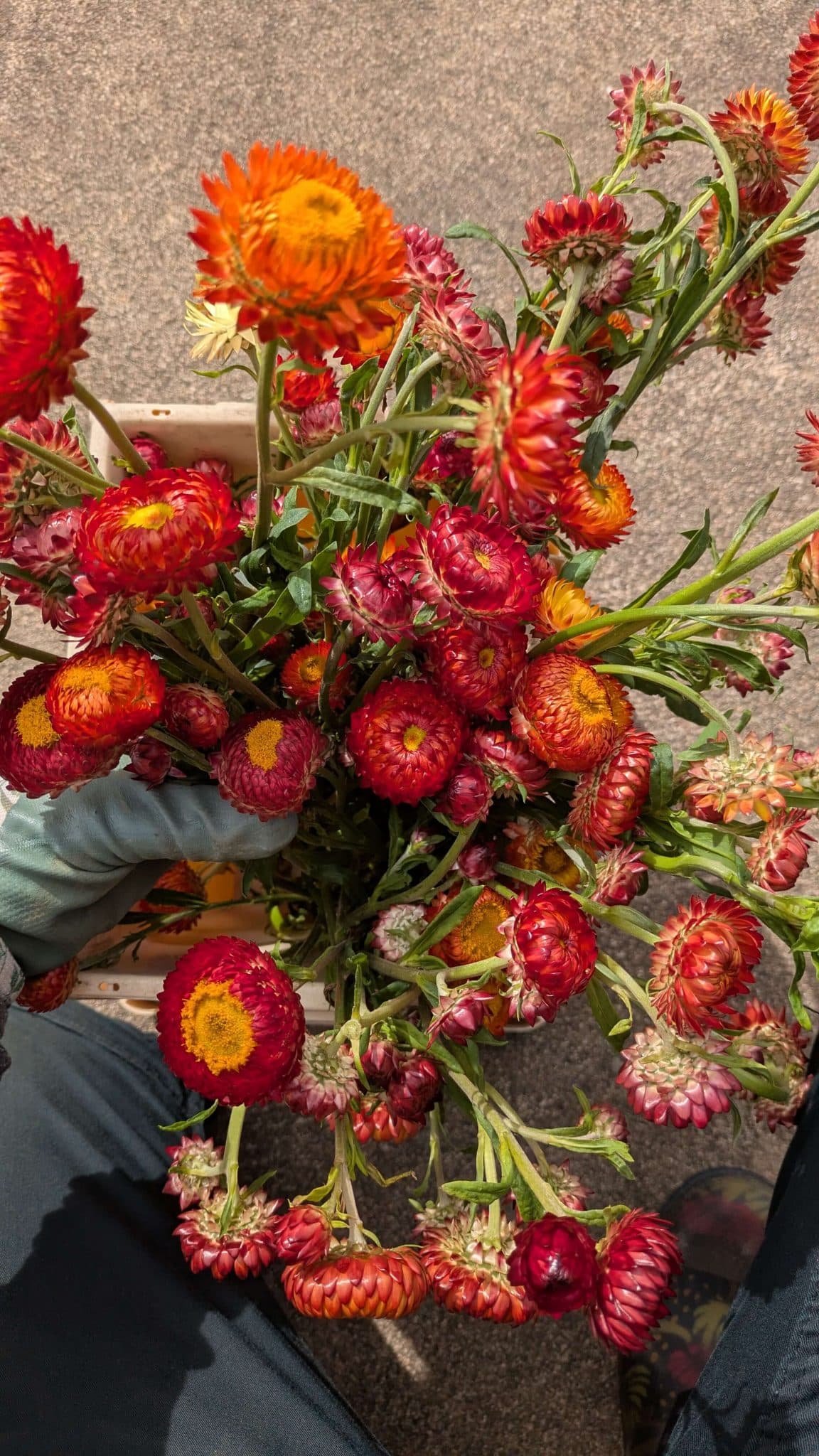 PXL_20250916_095114085 (1)