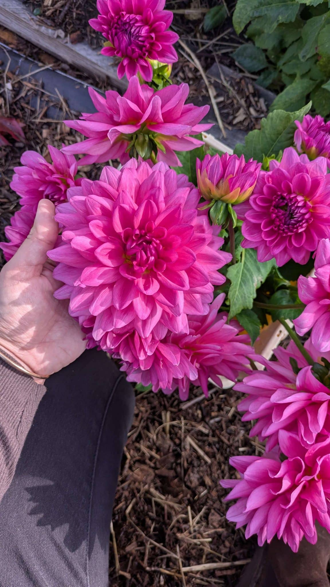 PXL_20251030_133900201 (1)