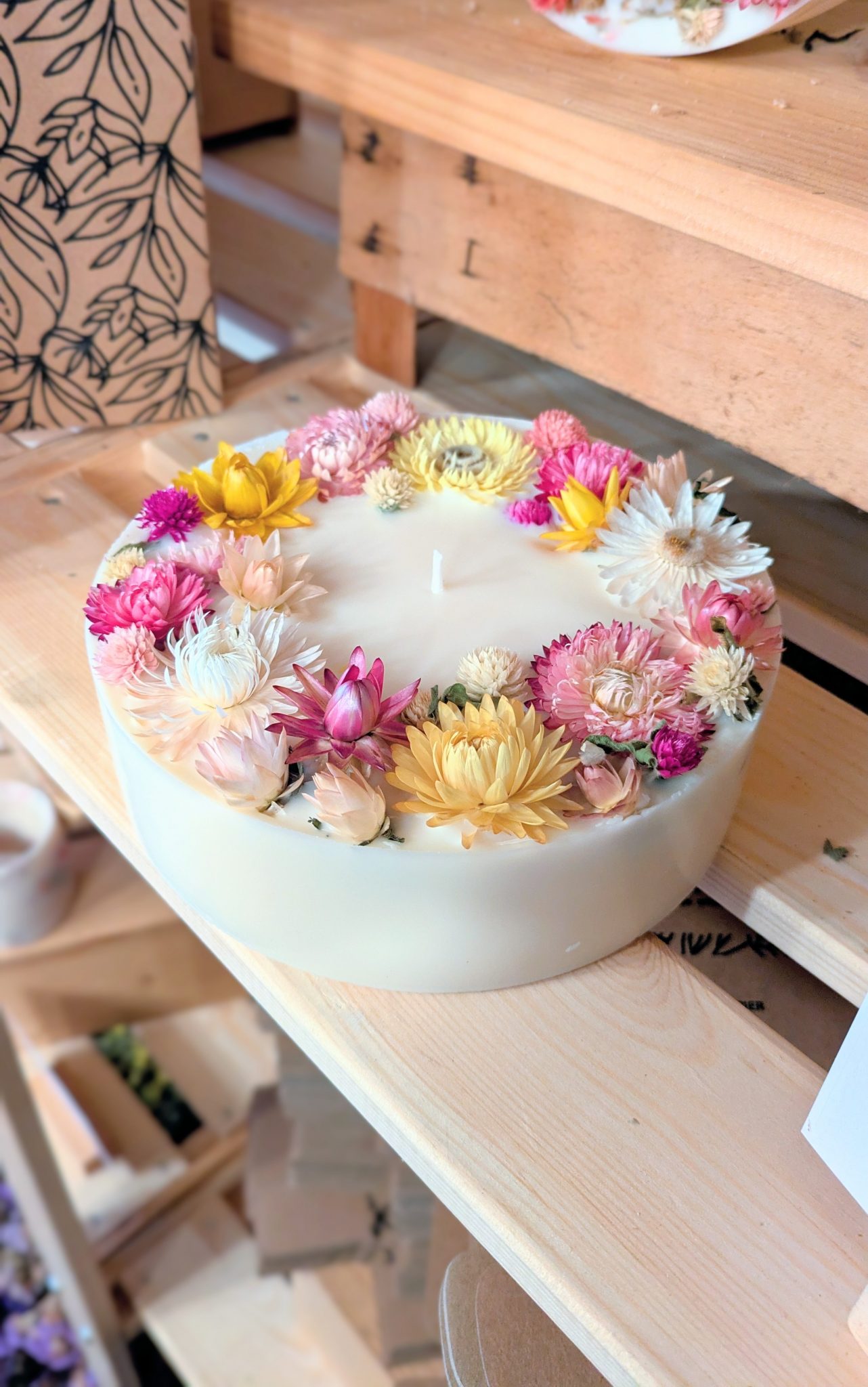 PXL_20260220_145005880~2